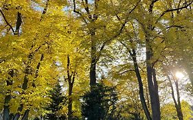 Hotel Stadtpark-garni